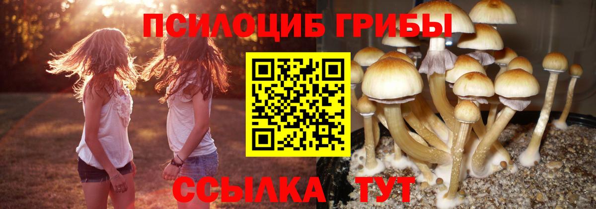 Галлюциногенные грибы мицелий  Вход с VPN  Галлюциногенные грибы ЛСД  где купить наркотик  Феодосия 